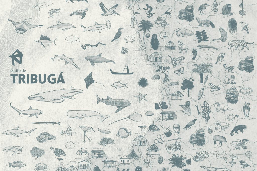Mapa Golfo de Tribugá