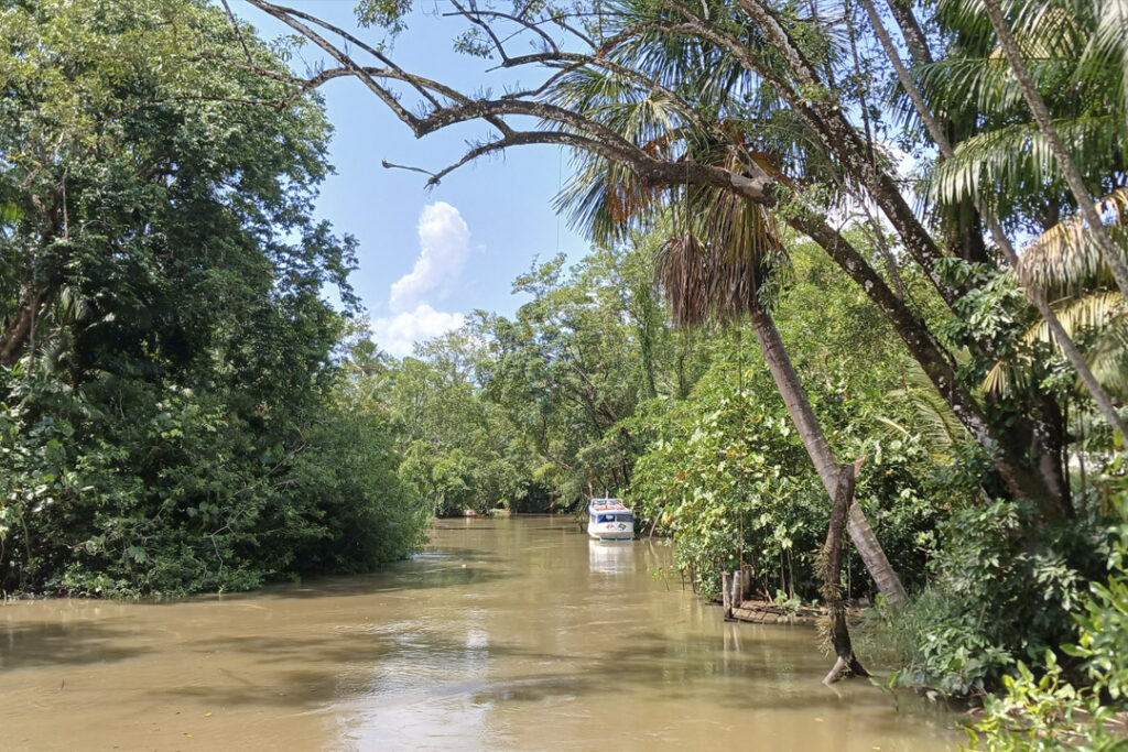 Ihla Paquetá-Açu(BR)